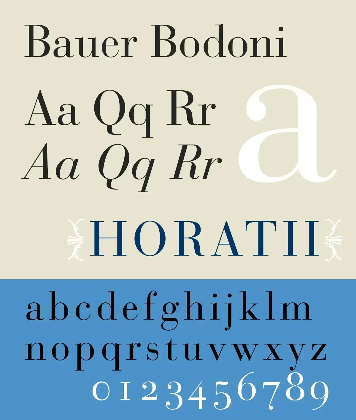 Bodoni - Image 1