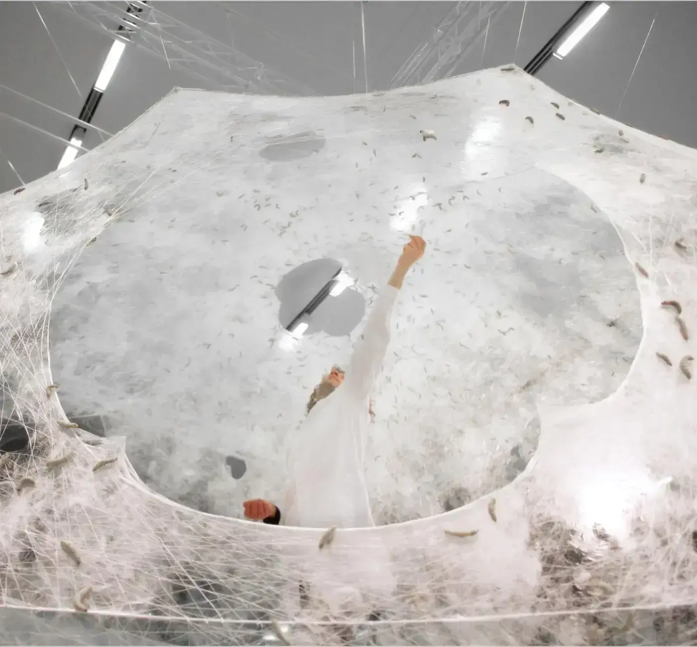 Silk Pavilion - Image 3
