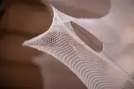 Silk Pavilion 2 - Image 2