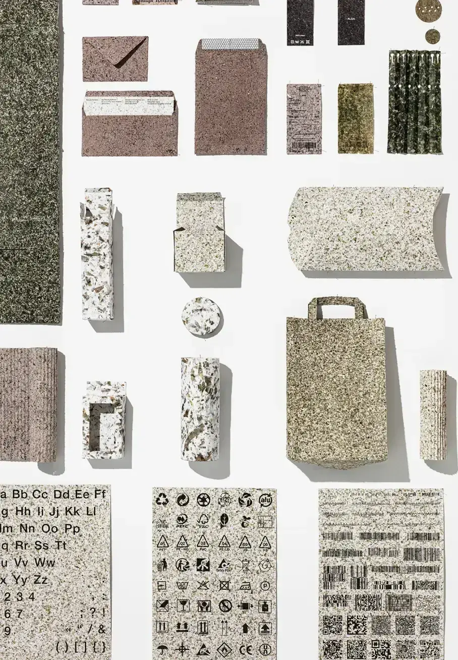 Alga - Image 2