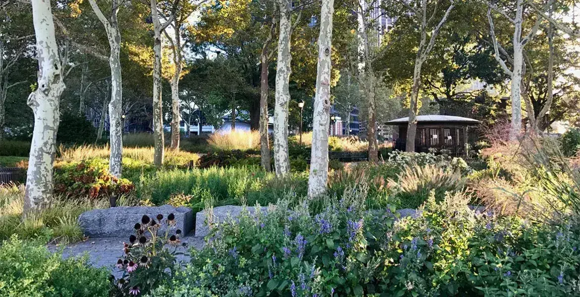 The Battery Bosque - Image 1