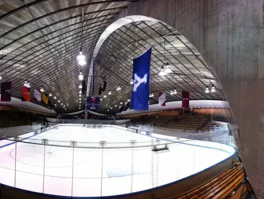 The Whale - David S. Ingalls Rink - Image 2