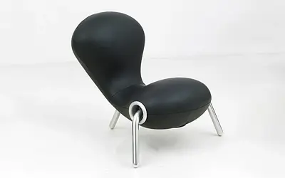 Embryo Chair