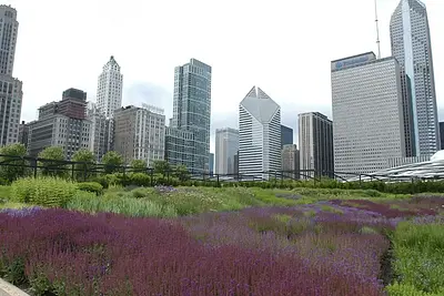 Lurie Garden