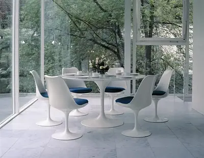 Tulip Chair